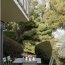  Annonces BOIS D'OINGT : Appartement | CALUIRE-ET-CUIRE (69300) | 93 m2 | 516 850 € 